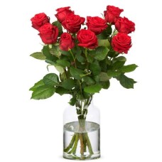 Long red roses | choose quantity (Standard)